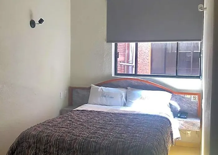 Hotel Panuco 3*